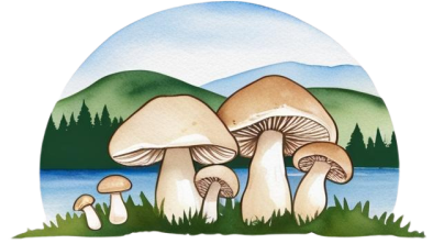 Berkshire Mushroom Festival